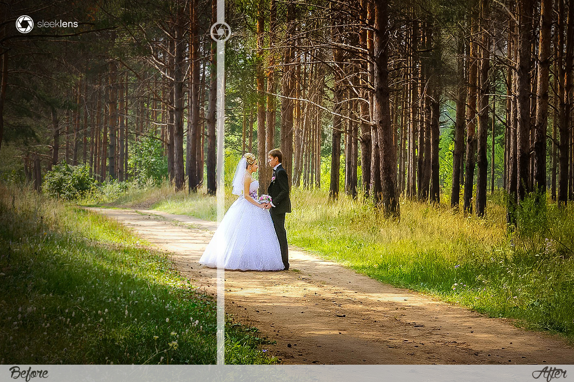 wedding-forest-o.jpg